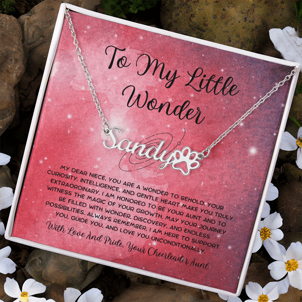 To My Little Wonder - From Aunt to Niece Paw Print Name Necklace