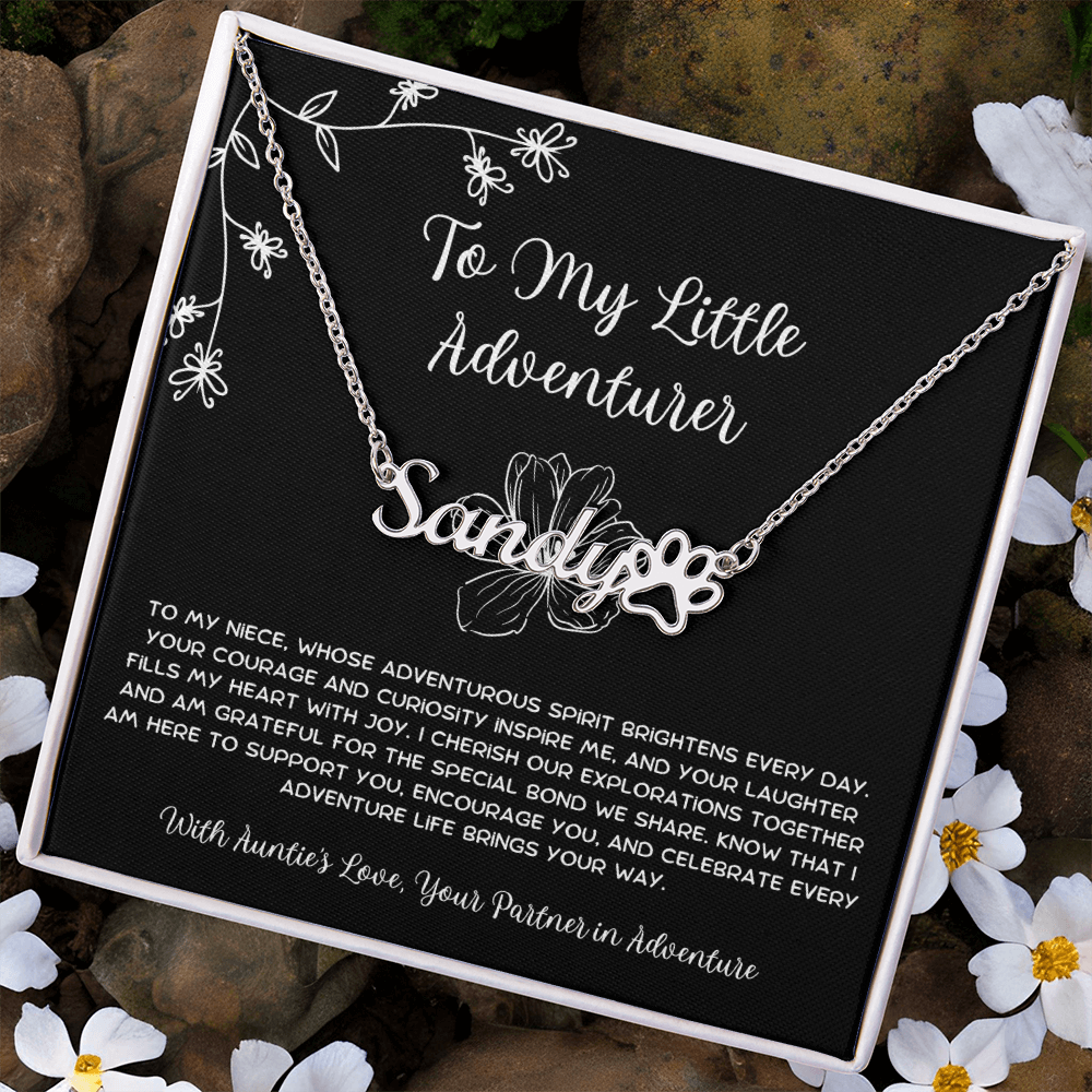 To My Little Adventurer - From Aunt to Niece Paw Print Name Necklace
