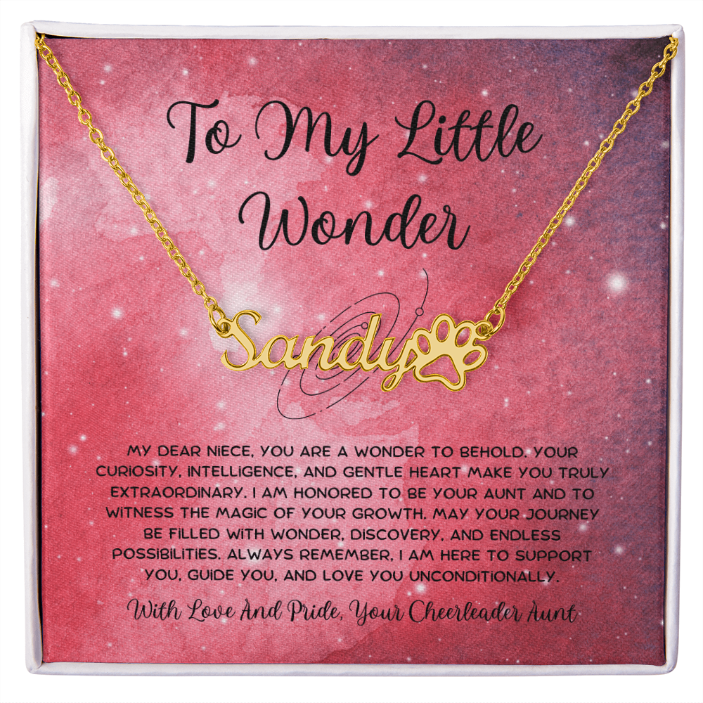 To My Little Wonder - From Aunt to Niece Paw Print Name Necklace