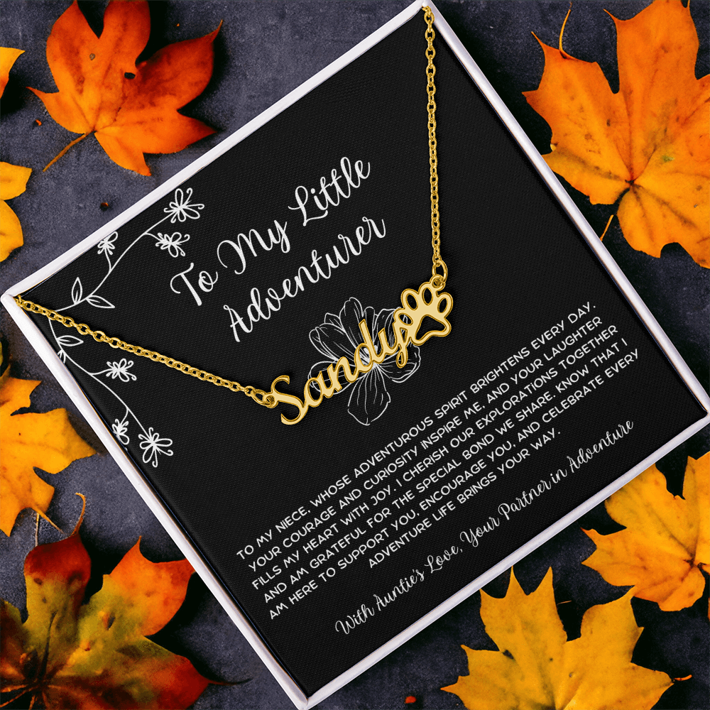 To My Little Adventurer - From Aunt to Niece Paw Print Name Necklace