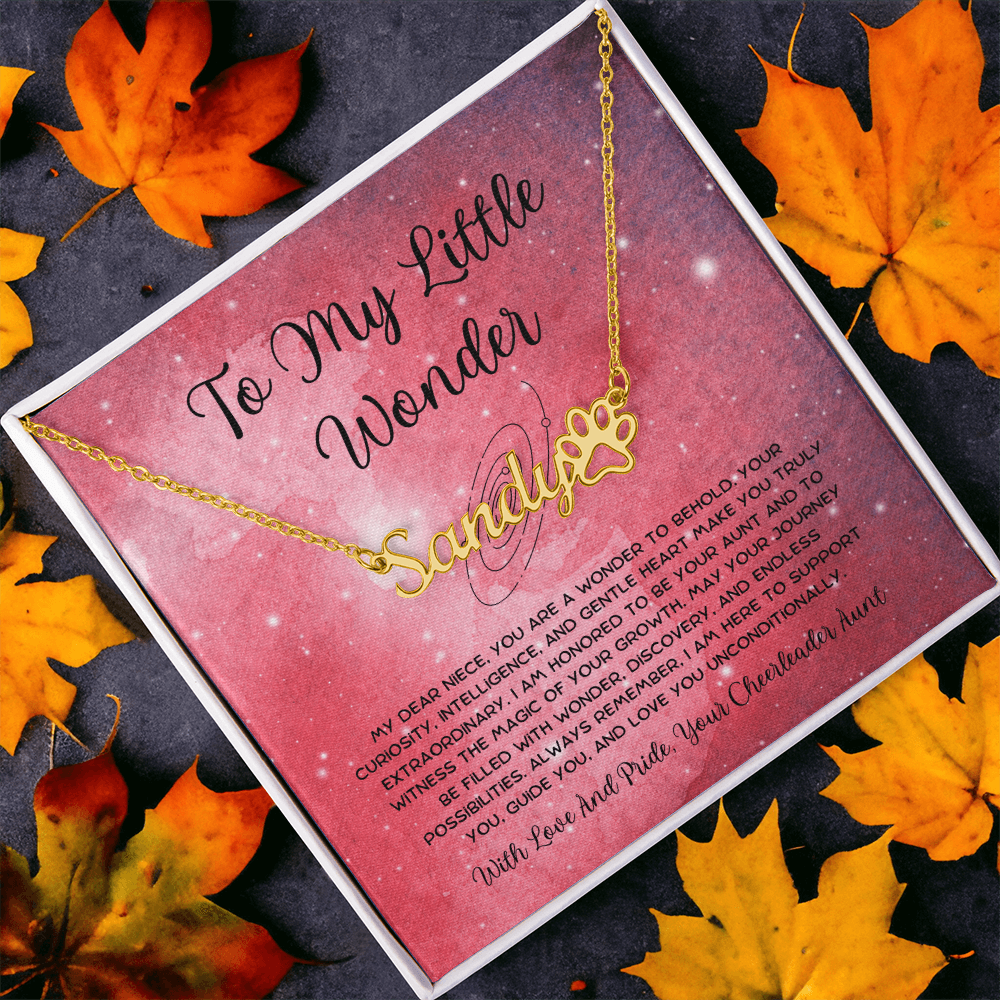 To My Little Wonder - From Aunt to Niece Paw Print Name Necklace