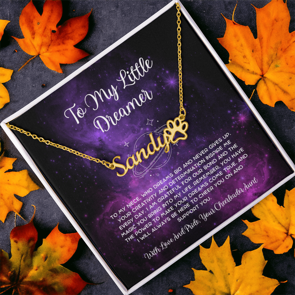 To My Little Dreamer - From Aunt to Niece Paw Print Name Necklace