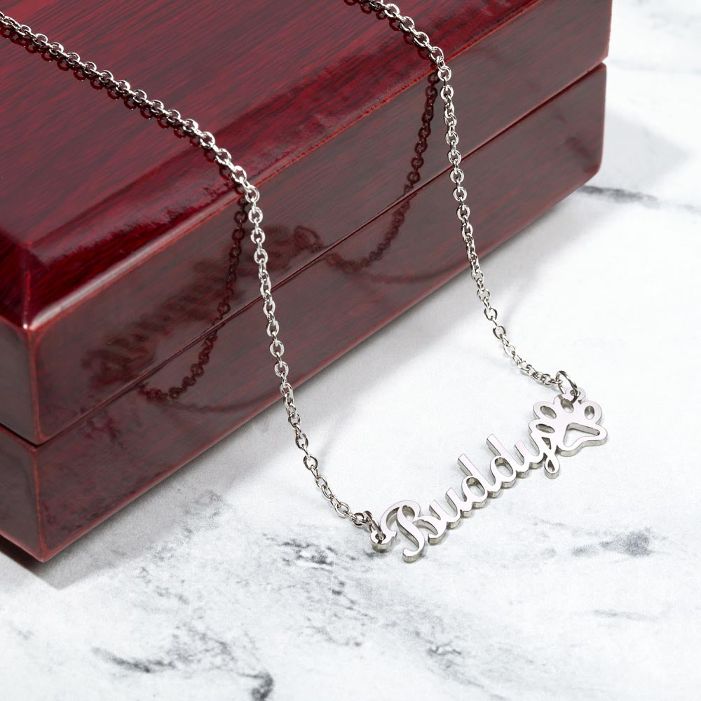To My Little Adventurer - From Aunt to Niece Paw Print Name Necklace
