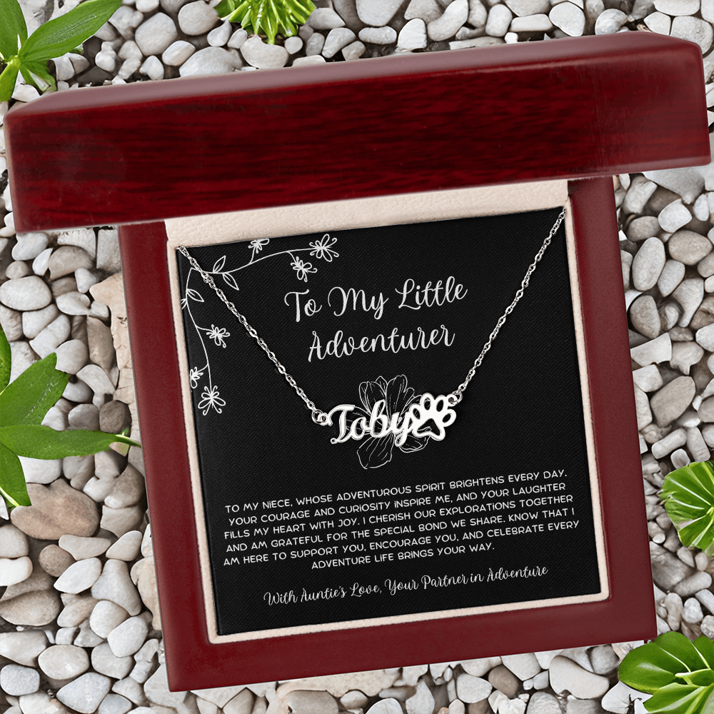 To My Little Adventurer - From Aunt to Niece Paw Print Name Necklace