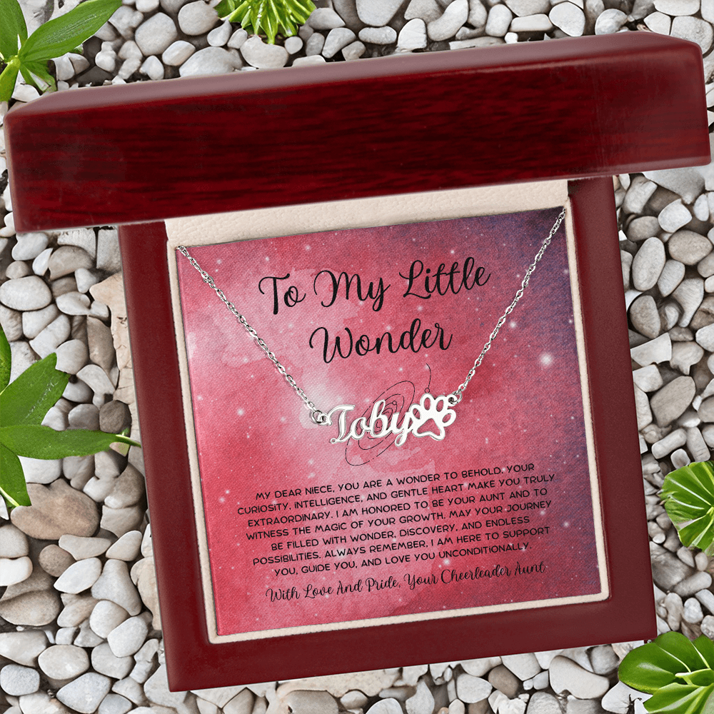 To My Little Wonder - From Aunt to Niece Paw Print Name Necklace