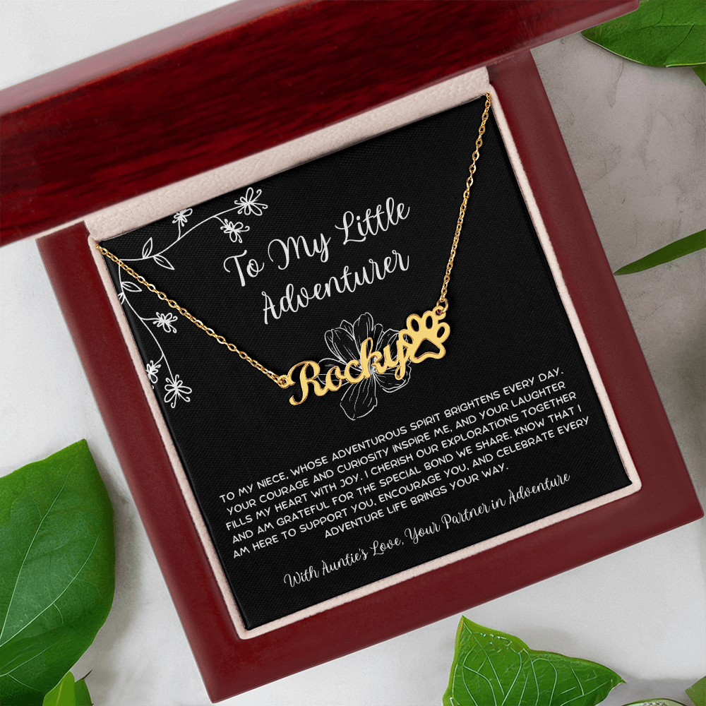 To My Little Adventurer - From Aunt to Niece Paw Print Name Necklace